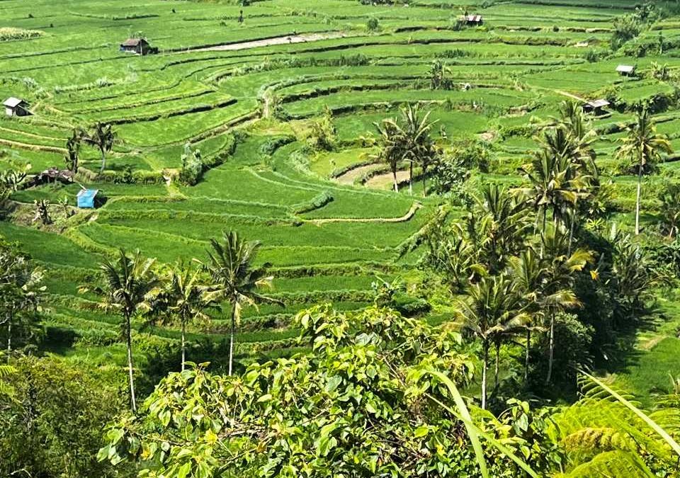 Welcome to Bali, the Island of Gods