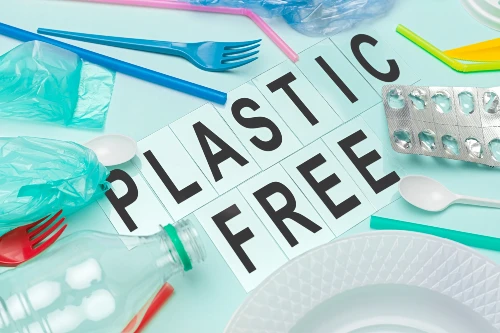 Plastic-Free Bali: How the Island Is Leading the Fight Against Waste and Pollution