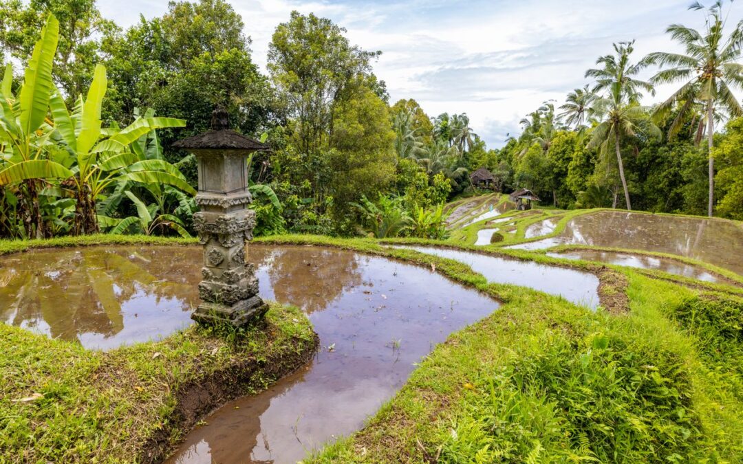 Bali is N1 for 2026