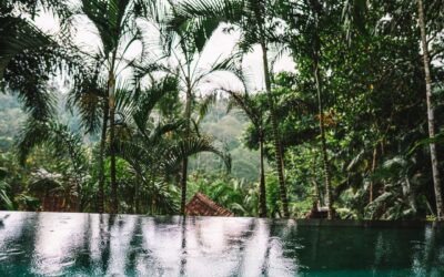 Indonesia Might Drop Visas for Australians and Indians, But the Bali Tourist Levy Isn’t Going Anywhere